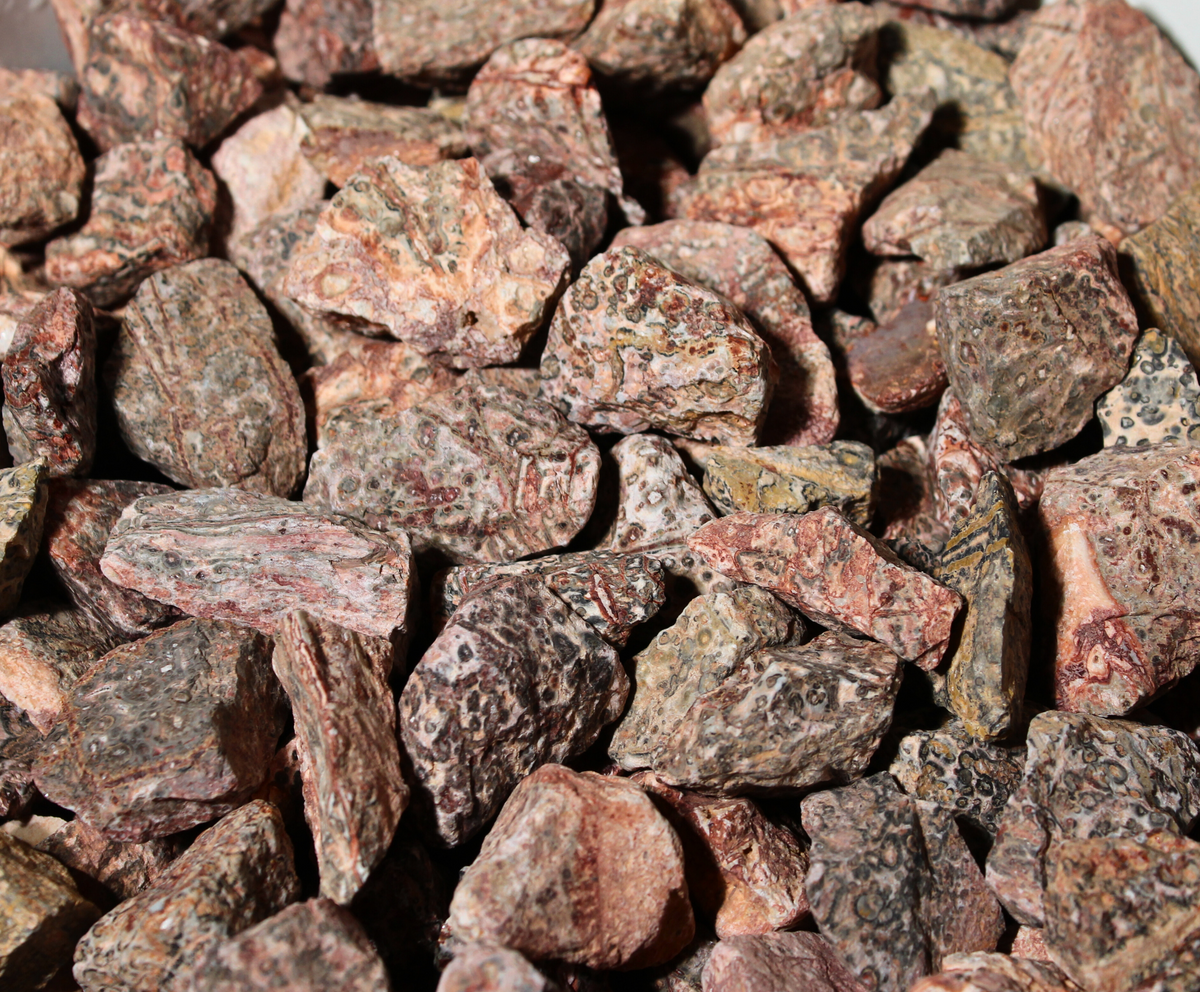 Rock Leopard Leopard Skin Jasper | Tumbling Rough Rocks from Mexico | 1