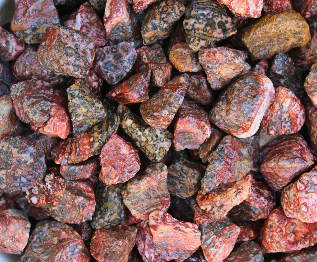 Leopard Skin Jasper | Tumbling Rough Rocks from Mexico | 1