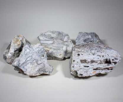 Manzanilla Lace Agate | Lapidary Rough