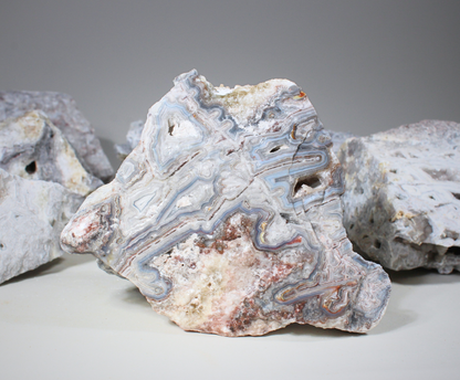 Manzanilla Lace Agate | Lapidary Rough