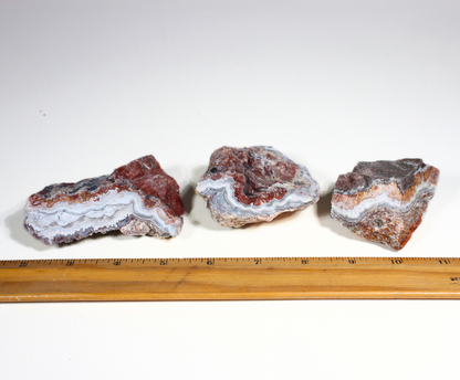 Mexican Lace Agate | Tumbling Rough