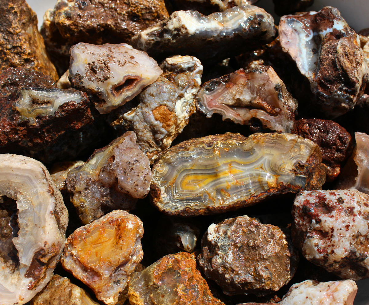 Picacho Agate Nodules | Lapidary Rough – ROCK AND TUMBLE
