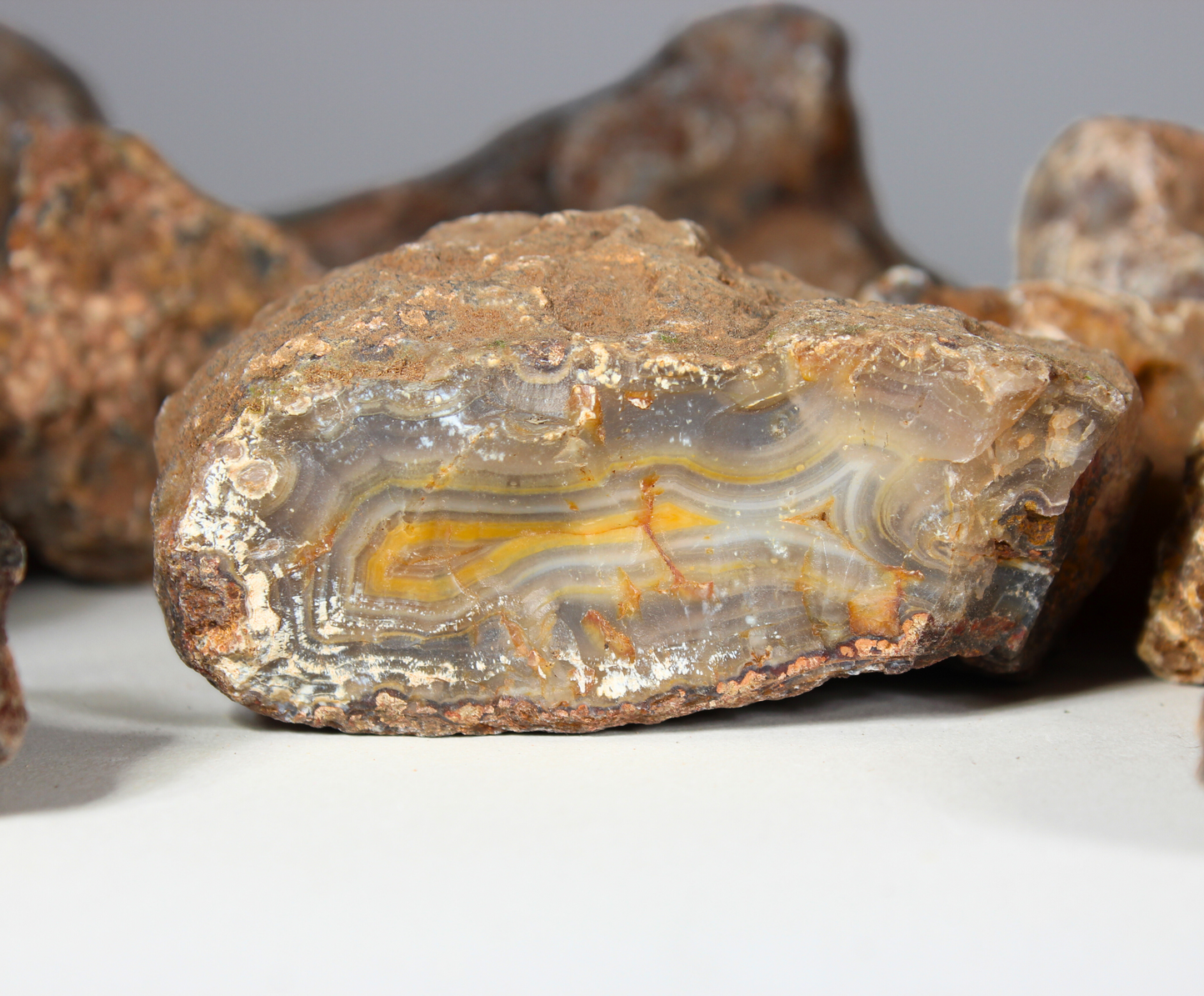 Picacho Agate Nodules | Rough Lapidary Material