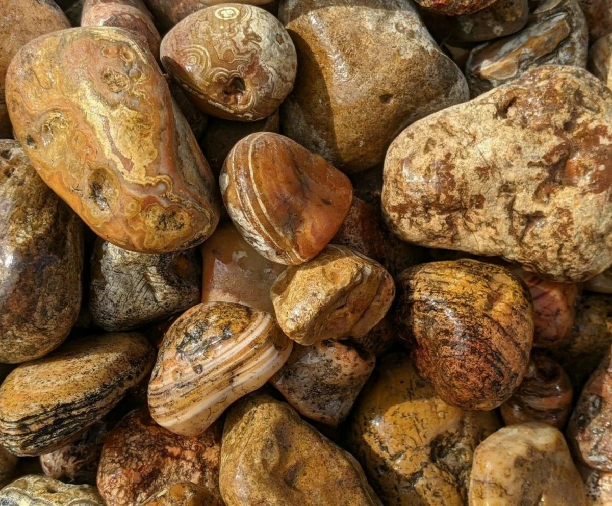 Bahia Agate | Large Tumbling Rough Rocks from Brazil | 1.5