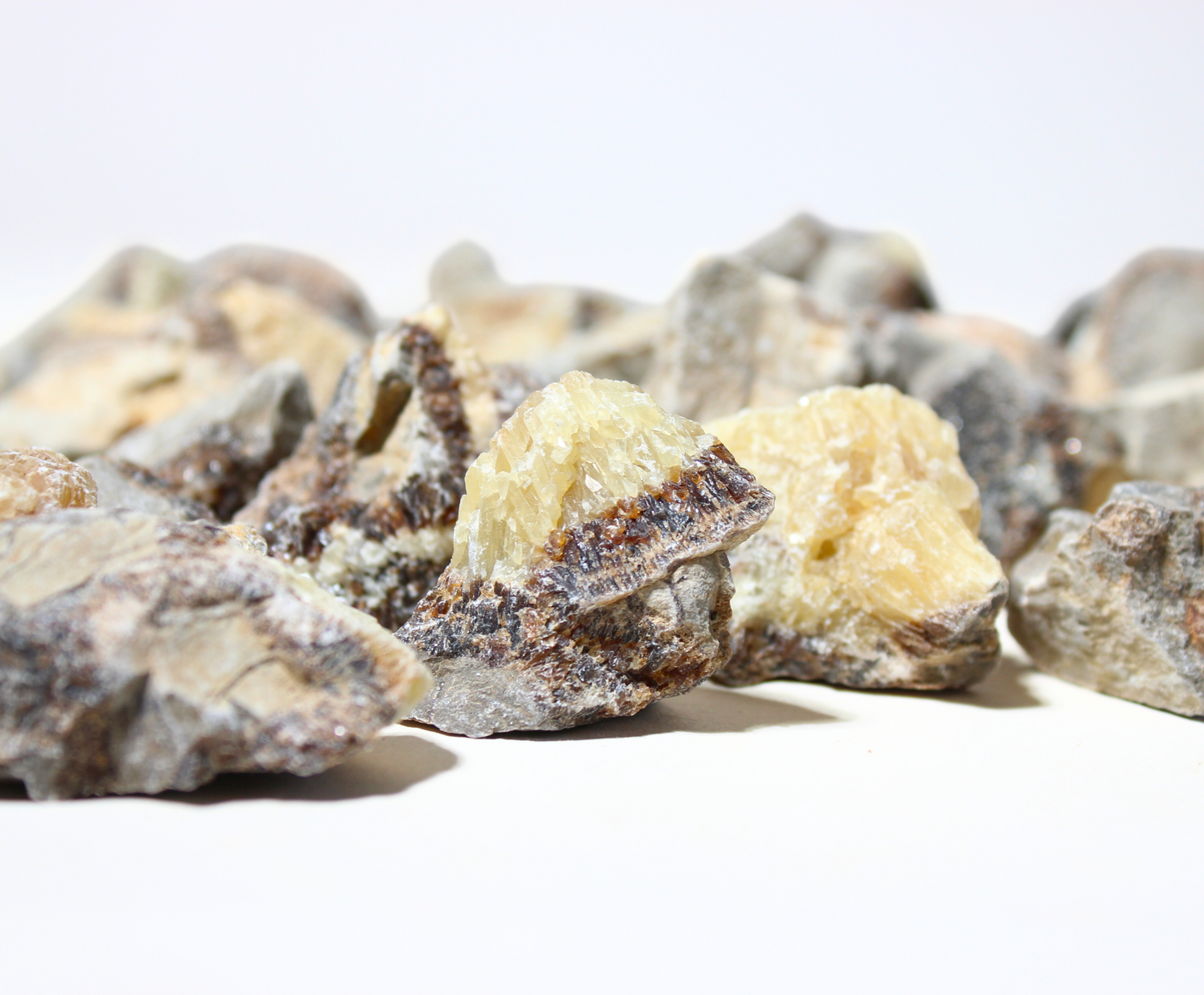Septarian | Rough Rocks from Madagascar | Raw Crystals