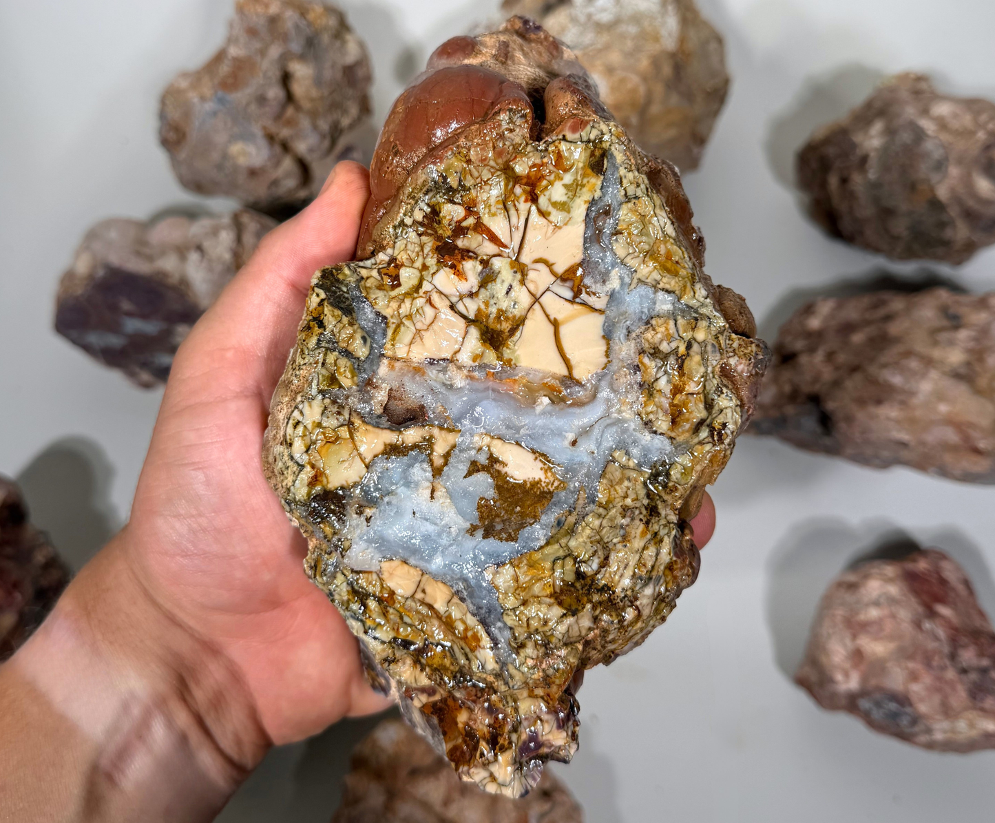 Cold Mountain Thunder Eggs | Lapidary Rough