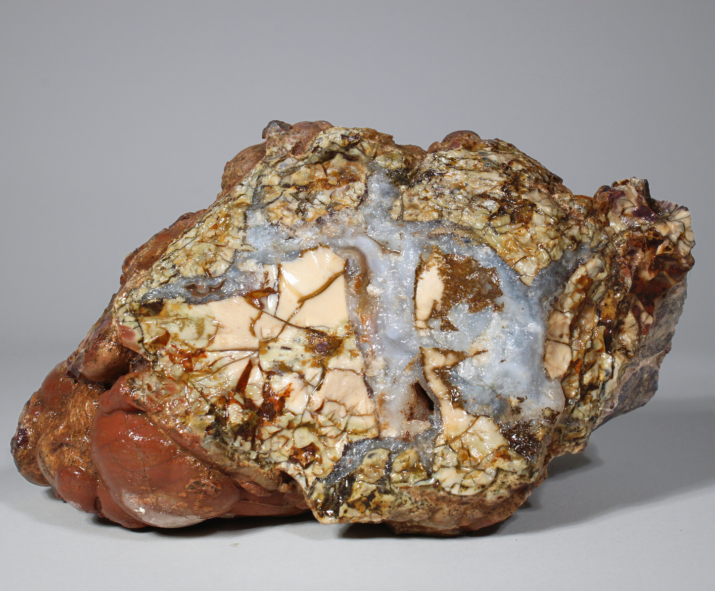 Cold Mountain Thunder Eggs | Lapidary Rough