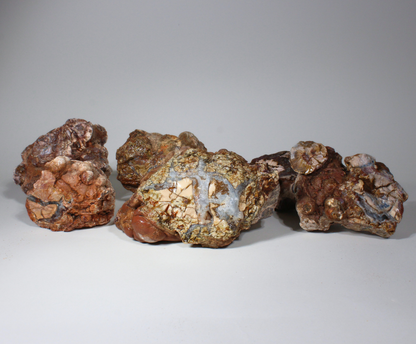 Cold Mountain Thunder Eggs | Lapidary Rough