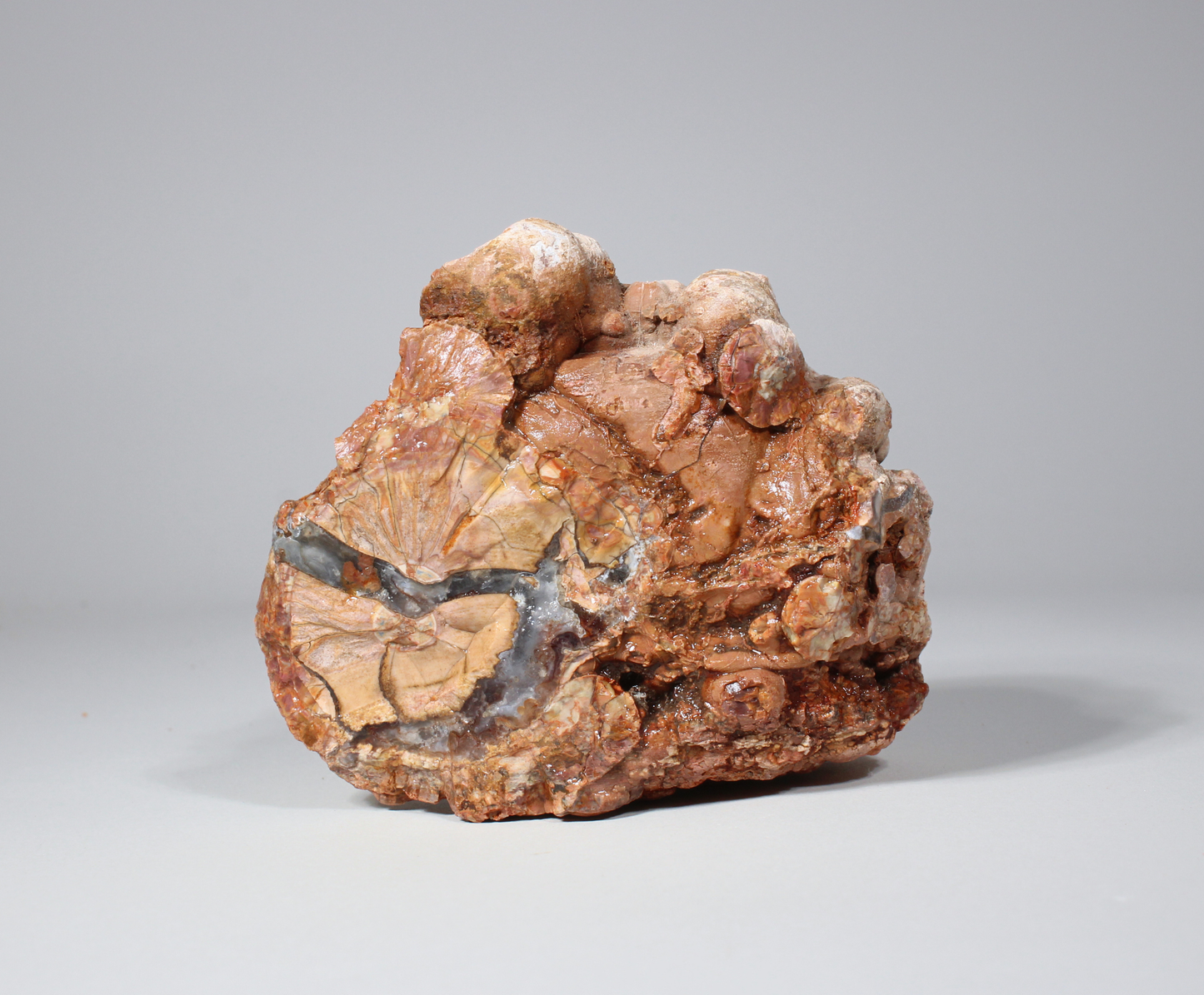 Cold Mountain Thunder Eggs | Lapidary Rough
