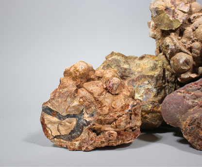 Cold Mountain Thunder Eggs | Lapidary Rough