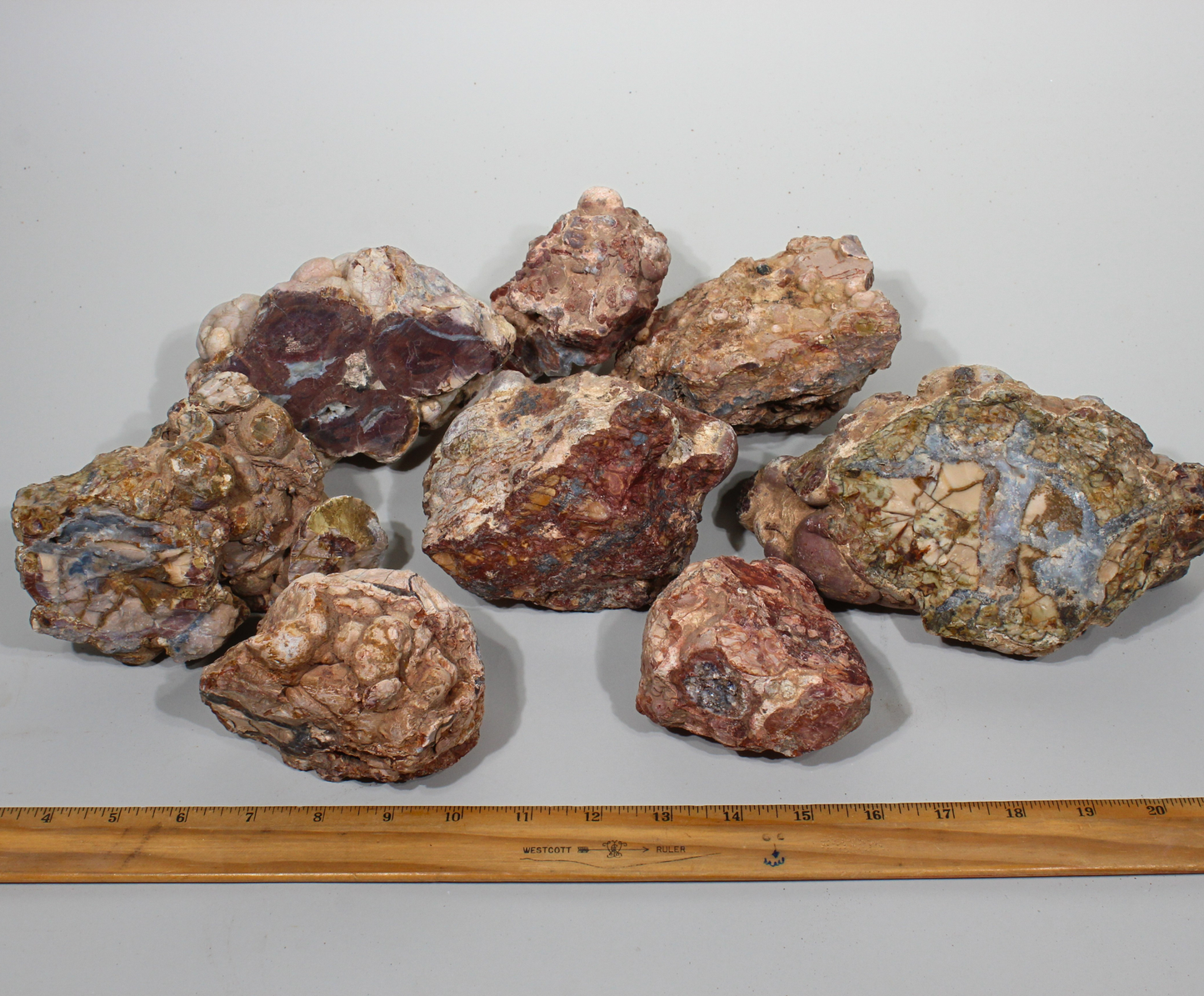 Cold Mountain Thunder Eggs | Lapidary Rough