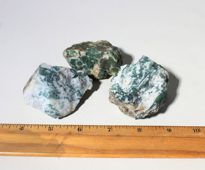 Tree Agate | Large Tumbling Rough Rocks from India| 2" - 3" Raw Crystals