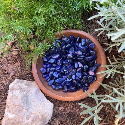 Dark Blue Sodalite Tumbled Stones | Premium Crystals for Collection, Home Decor or Art