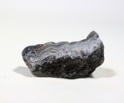 Tuxedo Lace Agate | Tumbling Rough