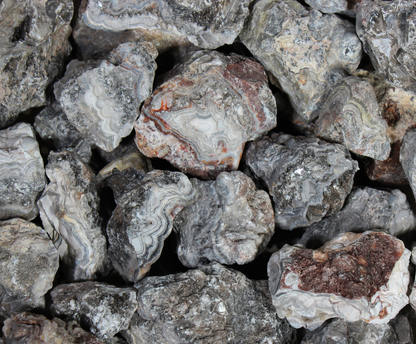 Tuxedo Lace Agate | Tumbling Rough