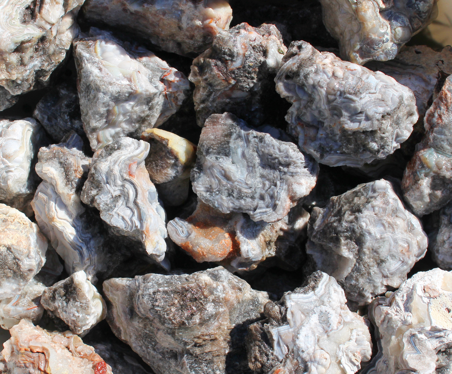 Tuxedo Lace Agate | Tumbling Rough