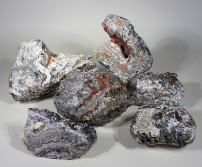 Tuxedo Lace Agate | "A" Grade | Slabbing Rough