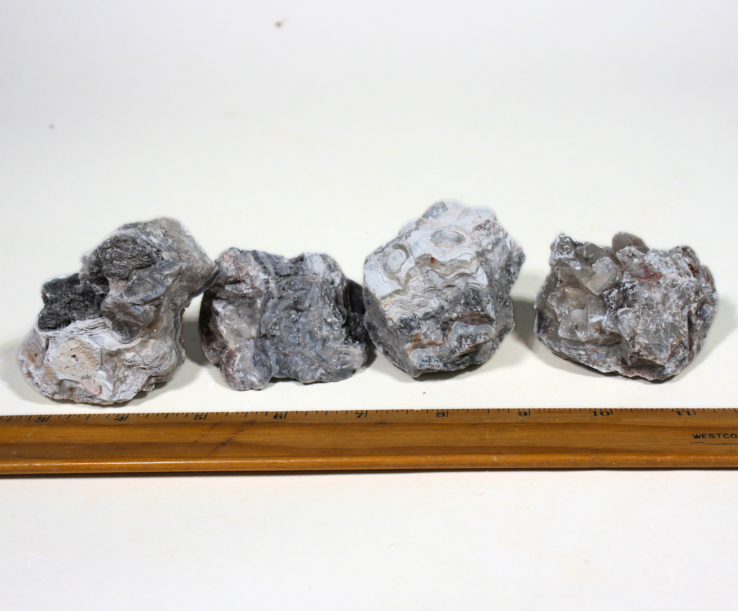 Tuxedo Lace Agate | Tumbling Rough