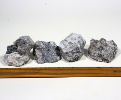 Tuxedo Lace Agate | Tumbling Rough