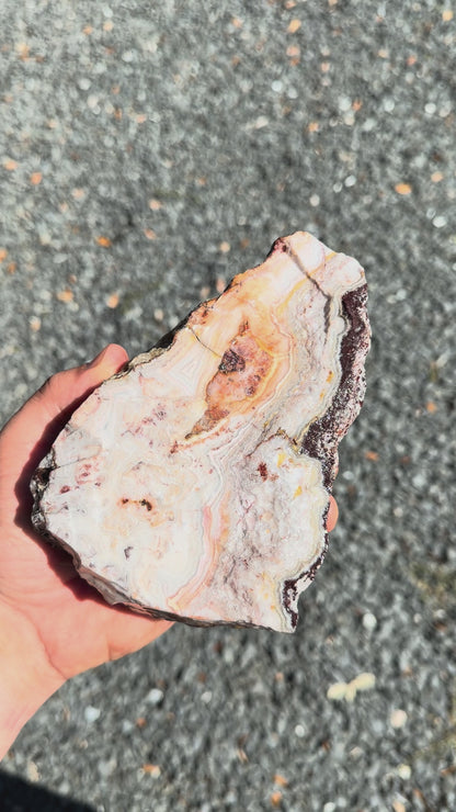 Flower of Peach Lace Agate | "Flor de Durazno" | Lapidary Rough