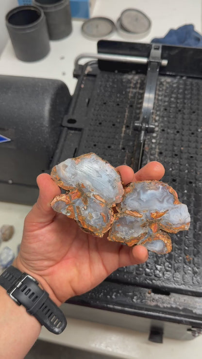 Cold Mountain Thunder Eggs | Lapidary Rough