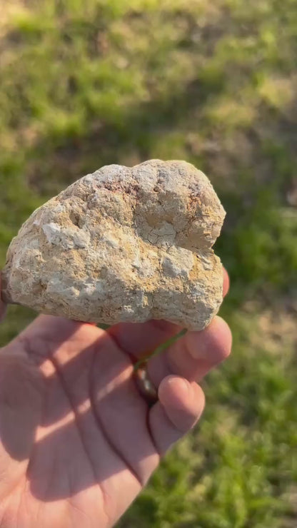 Break Your Own Geode | Crackable Quartz Clusters from Mexico | 2" - 4" Raw Crystals