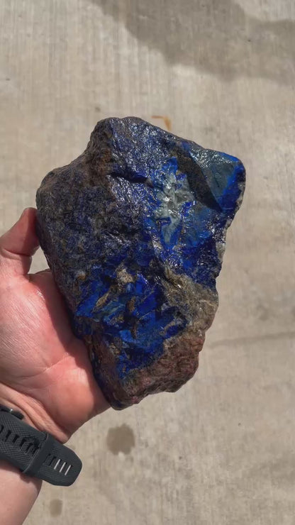 Lapis Lazuli | Lapidary Rough | Afghanistan