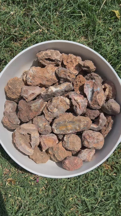 Picacho Agate Nodules | Rough Lapidary Material