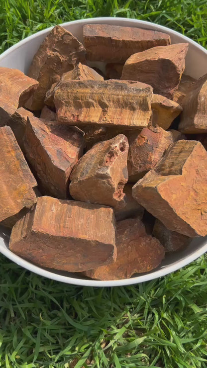 Gold Tiger's Eye | Rough Rocks from South Africa | 2" - 4" Raw Crystals for Collecting