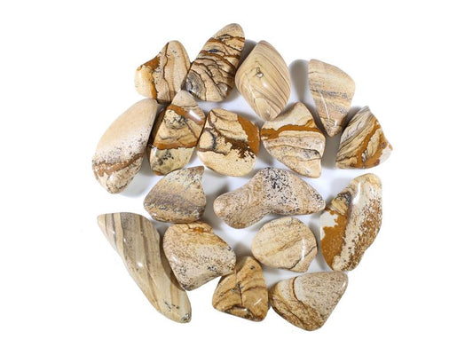 Picture Jasper Tumbled Gemstones