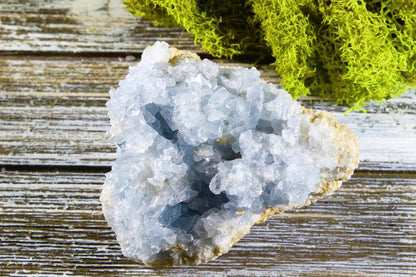 Celestite Crystal Cluster | Raw Blue Celestite Geode